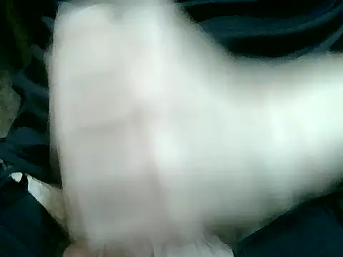 Snapshot of Thickpaper chatting on December 2025 09:26:01 AM Thickpaper online show from December 2025 09:26:01 AM