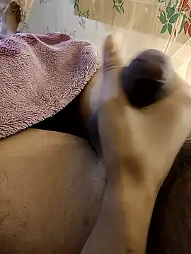 susuadult online show from January 2026 08:34:01 PM