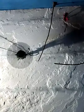 Akanksha soni online show from April 2026 10:43:01 AM