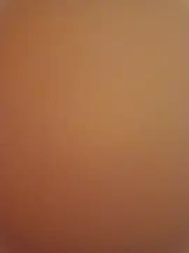 Punam sekhavat online show from December 2025 08:58:01 PM