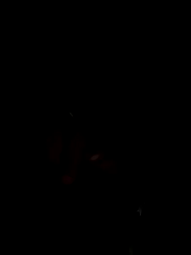 Snapshot of elnegrotopboy23 chatting on December 2025 03:57:01 AM elnegrotopboy23 online show from December 2025 03:57:01 AM