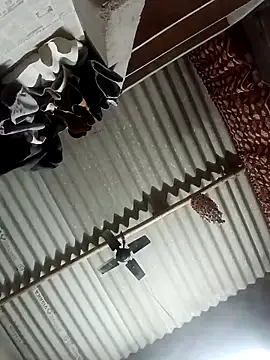 Shreya pandit online show from March 2026 10:31:02 PM