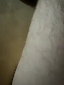 Lilalache online show from December 2025 01:28:01 PM