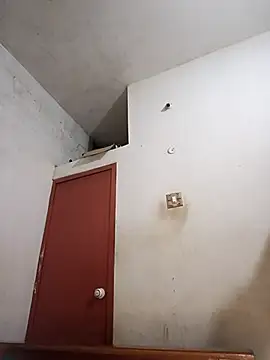 tamilsaisree online show from April 2026 05:30:01 PM