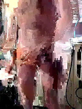 Snapshot of Quebec46 chatting on February 2026 08:14:01 AM Quebec46 online show from February 2026 08:14:01 AM