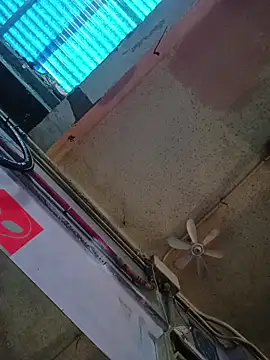 SnappedHagfish online show from April 2026 09:16:02 AM