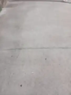 Snapshot of SnappedHagfish chatting on June 2026 05:23:02 PM SnappedHagfish online show from June 2026 05:23:02 PM