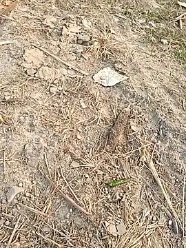 sexloverg7 online show from December 2025 10:43:02 AM