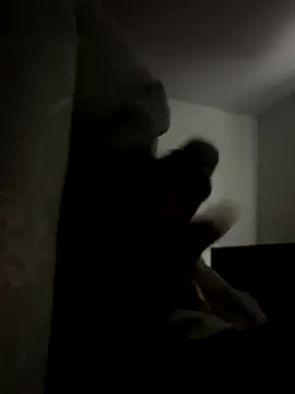 Snapshot of ronalx0 chatting on December 2025 07:31:01 PM ronalx0 online show from December 2025 07:31:01 PM