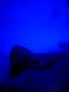 Snapshot of vladopen chatting on January 2026 05:23:02 AM vladopen online show from January 2026 05:23:02 AM