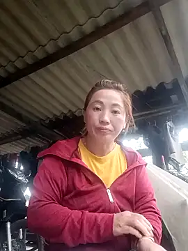 seacyre online show from February 2026 12:33:02 AM