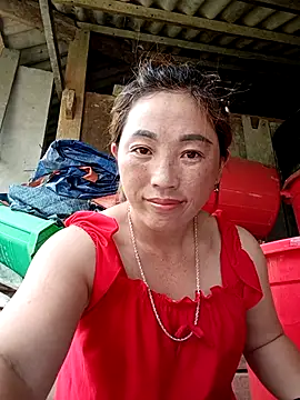 seacyre online show from May 2026 07:18:01 AM
