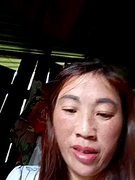 seacyre online show from May 2026 12:50:01 AM
