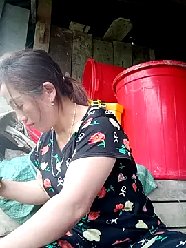 seacyre online show from March 2026 12:20:01 AM