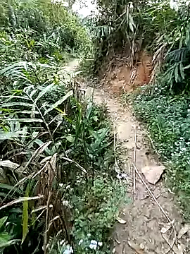 seacyre online show from April 2026 12:29:02 AM