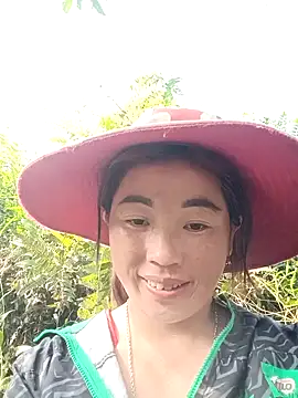 seacyre online show from April 2026 01:51:01 AM