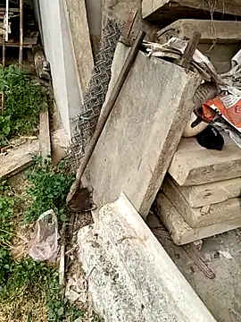 seacyre online show from April 2026 12:38:01 AM