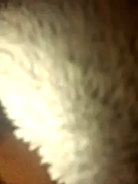 micaela691 online show from December 2025 09:08:02 PM