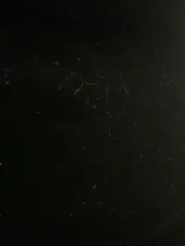 mengmeng776 online show from February 2026 04:17:02 PM