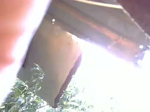 LadyPanda online show from February 2026 11:04:02 AM