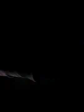 bnglrboy0886 online show from April 2026 05:31:01 PM