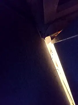 Snapshot of damslebambou1 chatting on January 2026 01:09:02 AM damslebambou1 online show from January 2026 01:09:02 AM