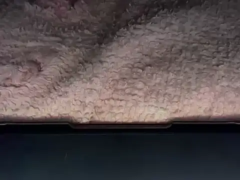 OherDav online show from February 2026 07:41:02 AM