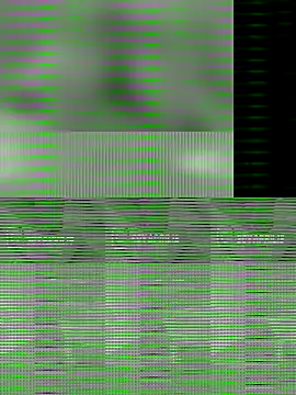 Snapshot of Uma_pande chatting on December 2025 02:52:01 PM Uma pande online show from December 2025 02:52:01 PM