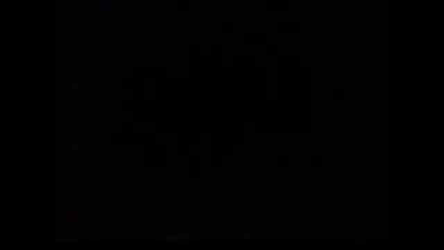 black shanu5 online show from May 2026 09:45:02 AM