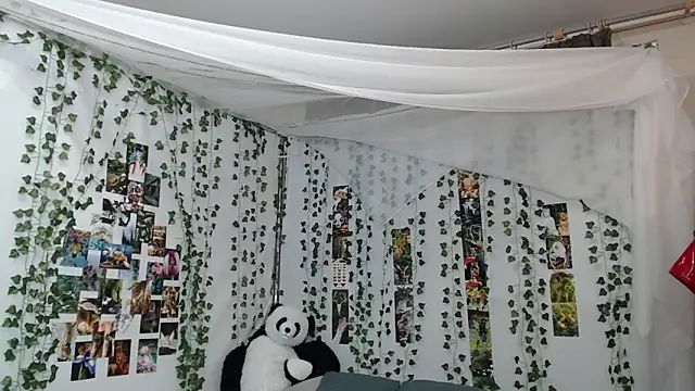 DeerMiracle online show from January 2026 04:08:02 AM