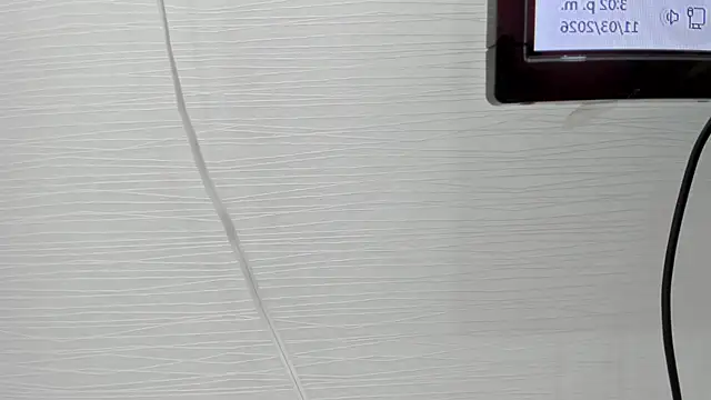 ariloe quintero online show from March 2026 08:03:01 PM