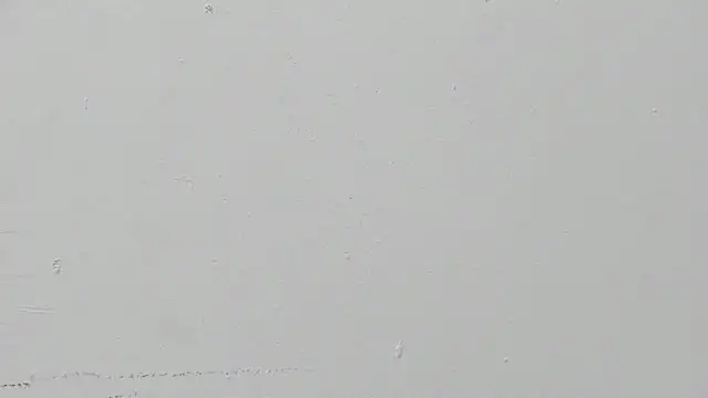 ariloe quintero online show from April 2026 01:05:02 PM