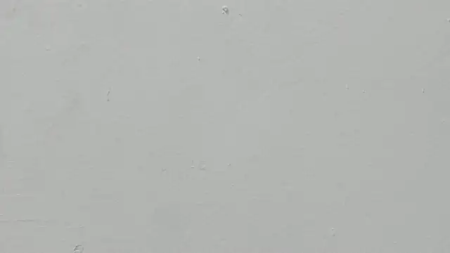 ariloe quintero online show from April 2026 01:04:02 PM