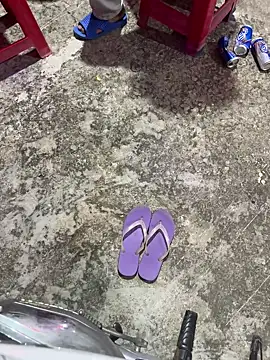 bi biii online show from February 2026 02:05:01 PM