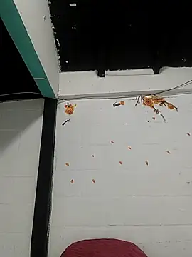 sk8-boy online show from March 2026 01:48:01 PM