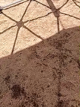 LaicyBrown76 online show from March 2026 08:32:01 AM