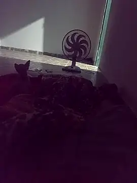 WPS15 online show from April 2026 11:27:02 PM