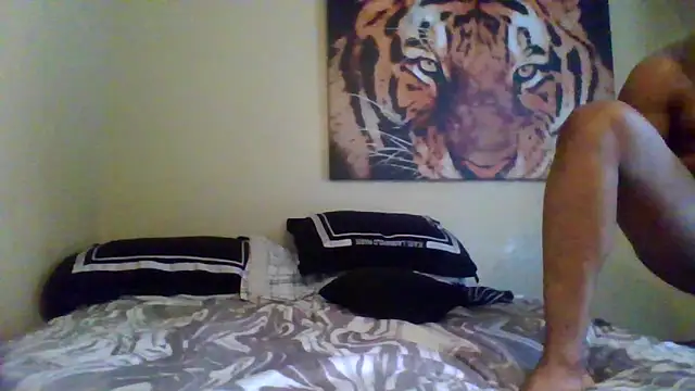 KingDes55 online show from March 2026 02:44:02 PM