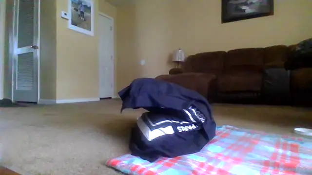 KingDes55 online show from April 2026 05:51:01 PM