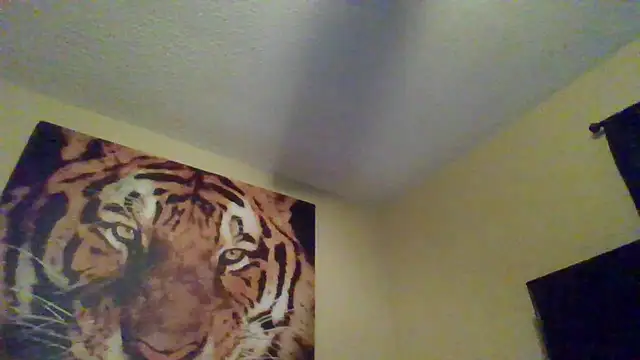 Snapshot of KingDes55 chatting on June 2026 11:27:01 AM KingDes55 online show from June 2026 11:27:01 AM