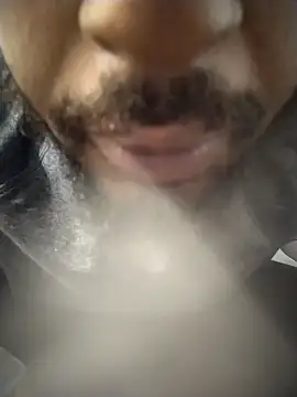 AverageAnt  online show from February 2026 03:33:01 PM