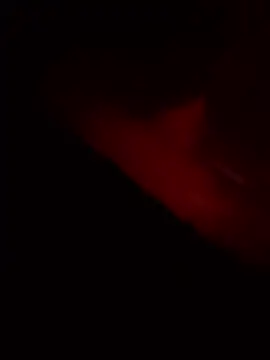 vishalk12346 online show from January 2026 05:41:01 PM