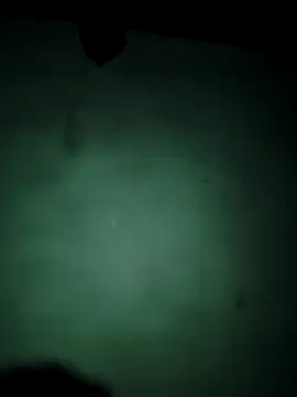 vishalk12346 online show from January 2026 06:01:01 PM