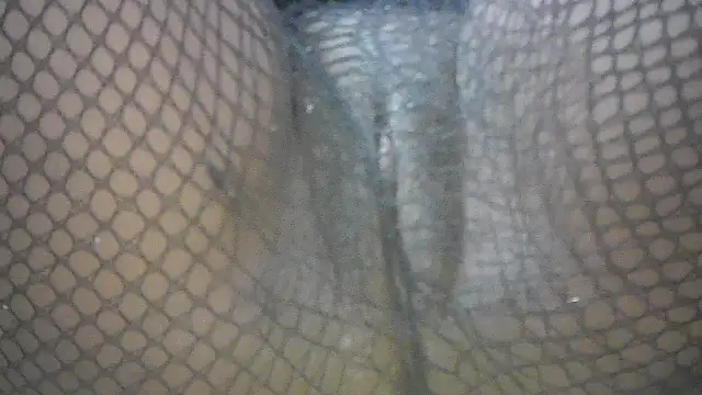 Omphilesoa online show from February 2026 04:04:01 PM