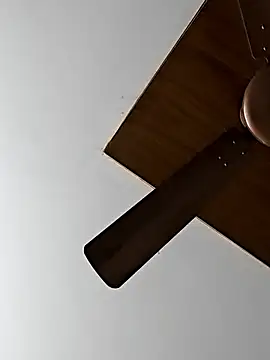 Snapshot of Telugumistress chatting on February 2026 07:41:02 AM Telugumistress online show from February 2026 07:41:02 AM