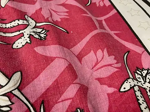 Snapshot of delhi_real_bull chatting on December 2025 04:23:02 PM delhi real bull online show from December 2025 04:23:02 PM