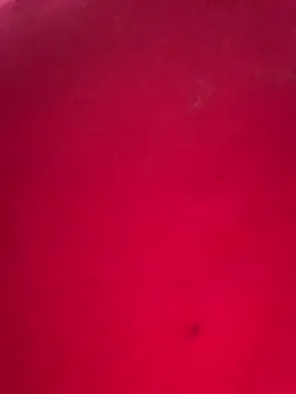 Snapshot of missmisha01 chatting on February 2026 02:31:02 AM missmisha01 online show from February 2026 02:31:02 AM