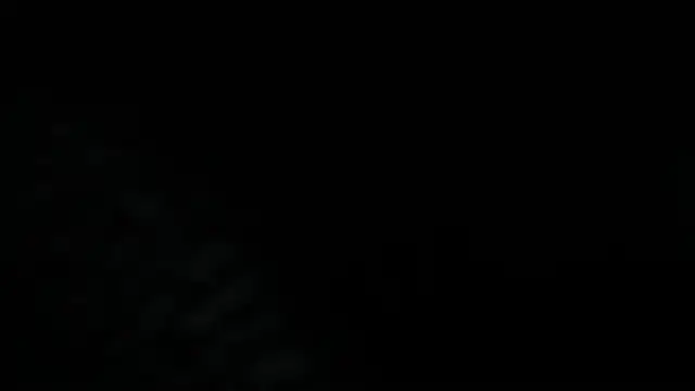 Dante Bellini online show from June 2026 02:55:02 PM