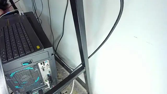 Dante Bellini online show from January 2026 01:18:02 PM