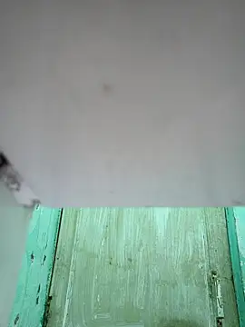 novio-de-la-tarde online show from February 2026 11:37:02 PM